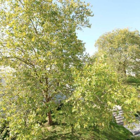 Appartement 1 pièce - - Photo 1