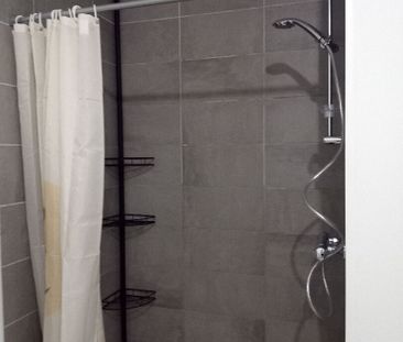 Location appartement 1 pièce, 36.00m², Fleury-les-Aubrais - Photo 6