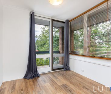 11C/6 Irvine Street, Watson ACT 2602 - Apartment For Rent | Domain - Photo 4