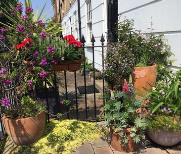 Grange Walk - Photo 4