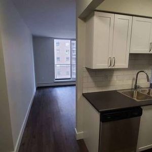 Pet-Friendly Suites Right by Hamilton GO Centre! - Photo 2