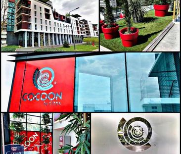 Location Appartement 1 pièce 26m² TOURS 37000 - Photo 4