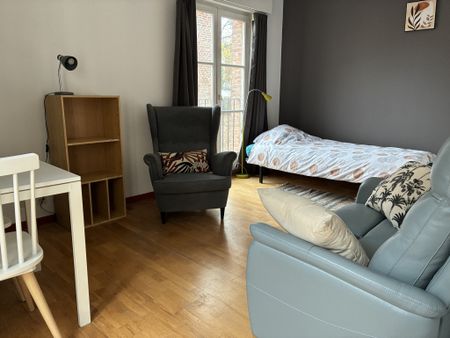 Location Appartement 1 pièce 25m² LILLE 59800 - Photo 2
