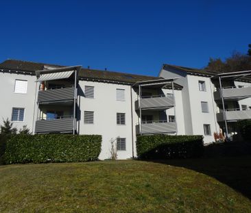 3.5 Zimmer-Wohnung - Photo 2