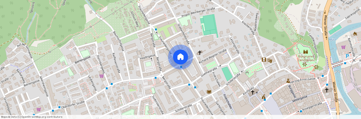 Martin-Luther-Straße 8 / 10, 8600, Bruck An Der Mur