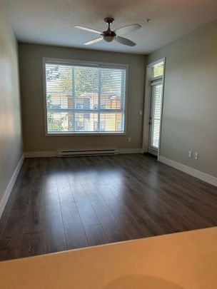 PARALLEL ONE APTS - 202 - P1-202 - Photo 1