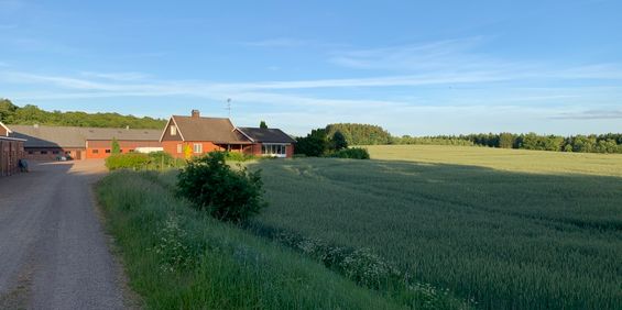 Abullabo, Kågeröd - Foto 3