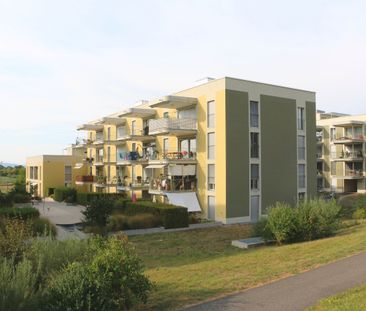 Mieten ohne Kaution - Moderne Singelwohnung in Sursee! - Foto 3