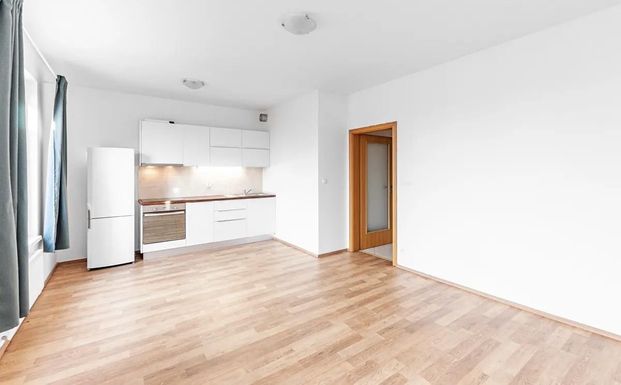 Apartment for rent, 1+KK - Studio, 41m - Photo 1
