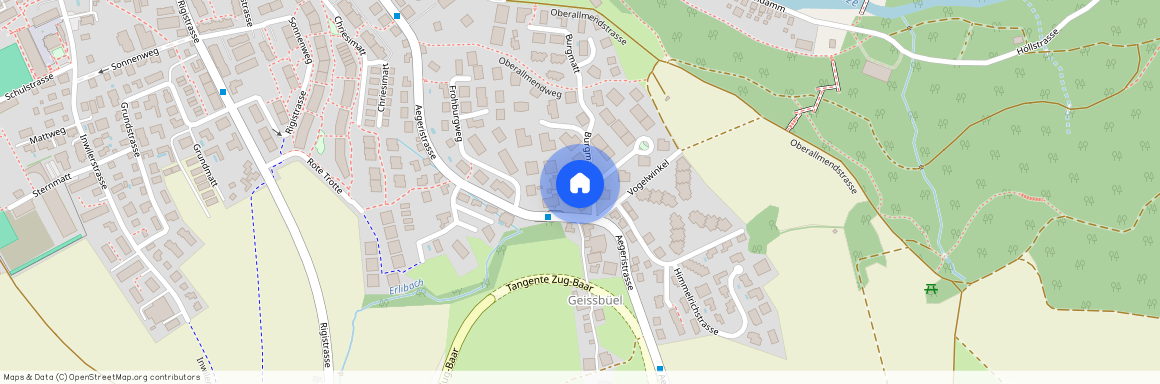 Burgmatt 3, 6340 Baar