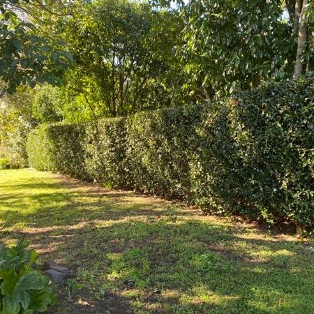 Spacious Family Home on Park Like Grounds - Photo 1