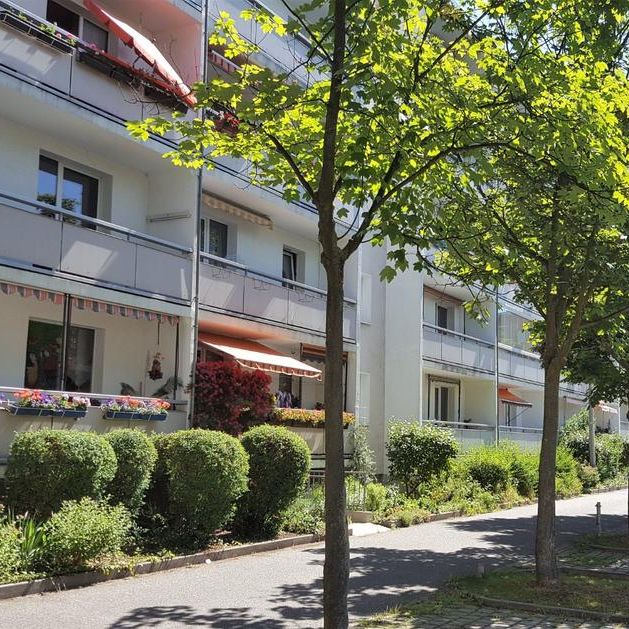 Familie willkommen! 4-R.-WE m. Balkon in Weißwasser! - Photo 1