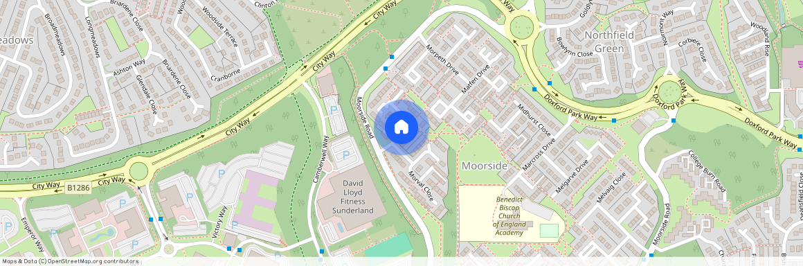 Manston Close, Sunderland SR3
