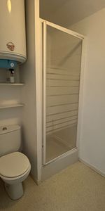 Location Appartement 1 pièce 20m² - Photo 4