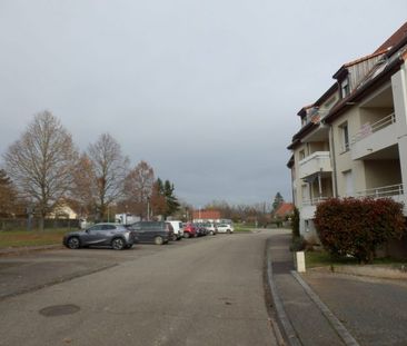 T3 Goxwiller GARE - Photo 3