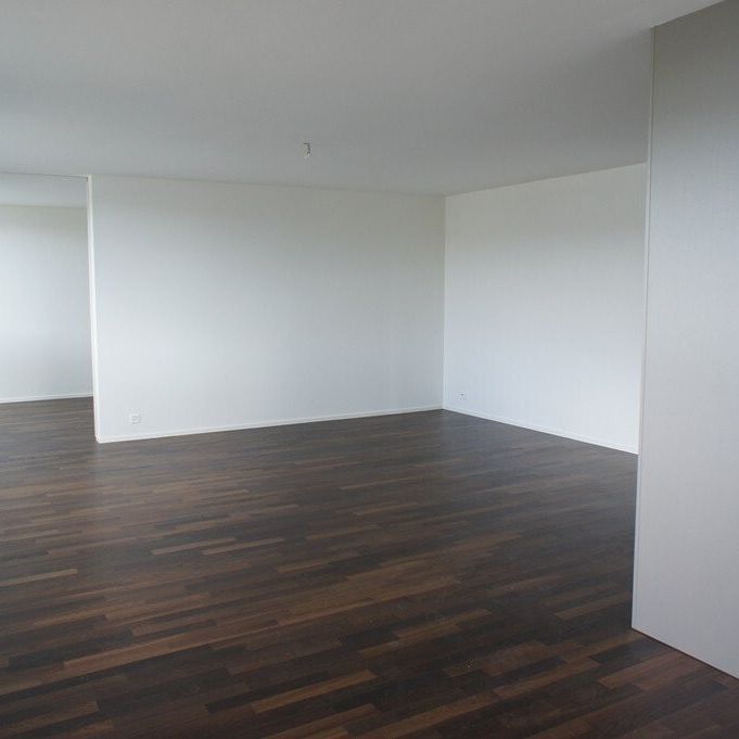 5 ½ Zimmer-Wohnung in Schwerzenbach mieten - Photo 1