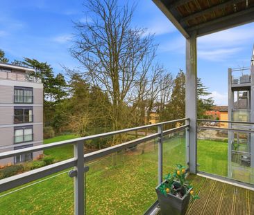 Available now - Photo 4