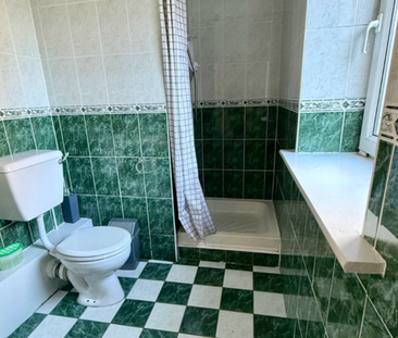 River Towers, Sunday's Well, Co. Cork - Photo 4