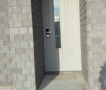 Modern 2 Bedrooms for Rent in Pokeno - Photo 5