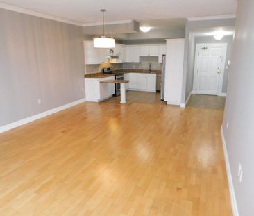 FOR RENT – 767 Parkland Drive, Suite 220, Halifax, Nova Scotia - Photo 2