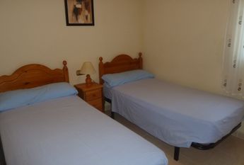 53 Tulipan – Id. 393