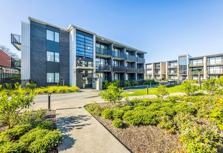213/20 Mason Ave, Otahuhu - Photo 2