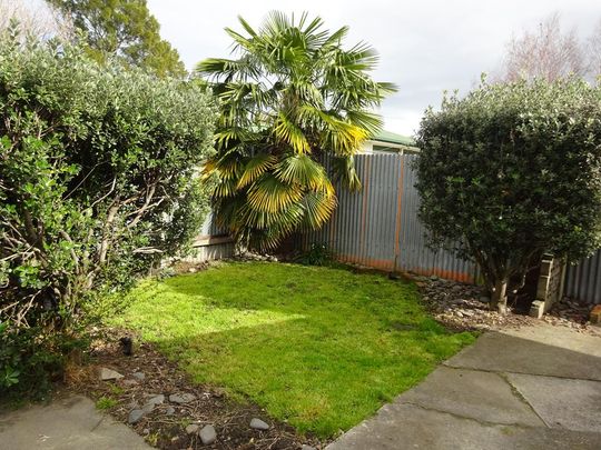 Williams Street , Mahora - Photo 1