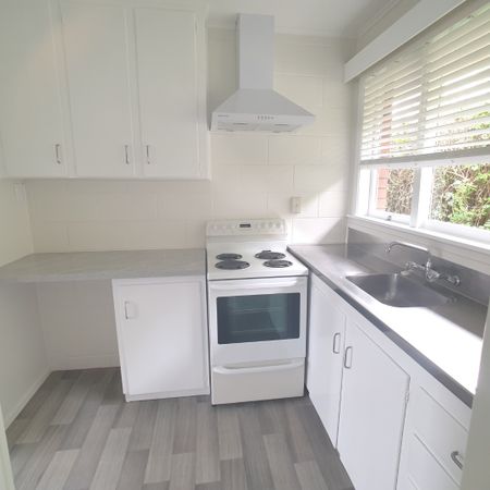 ONE TREE HILL Moana Avenue 2 bedroom unit - Photo 4