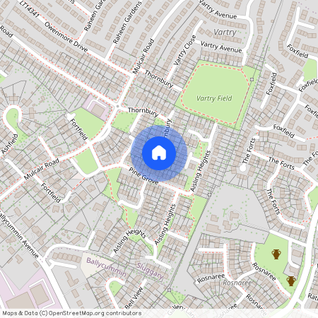 30, Thornbury, Raheen, Limerick, Raheen, Limerick, V94Y5WT, Limerick City