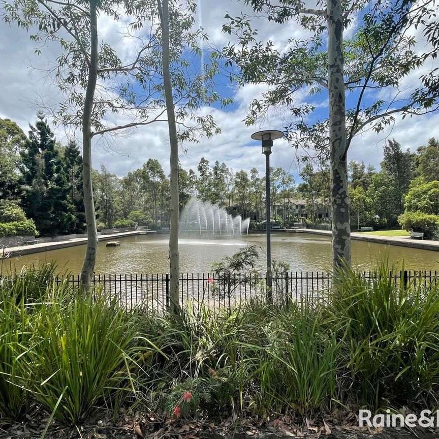 Spacious 3 bedrooms with study, loungeroom, rumpus and huge courtyard - Photo 1