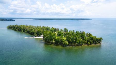 For Lease - 1000 Goffatt Island, Ramara, Ontario - Photo 4