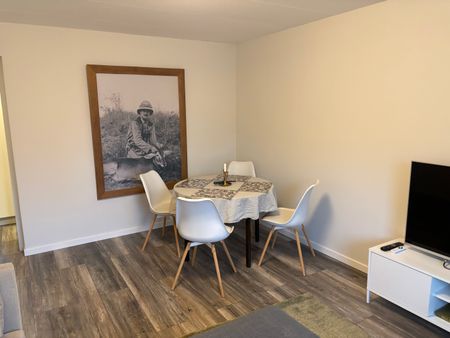 Gransikagatan, Skövde - Photo 3