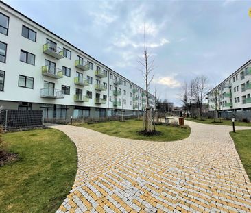 Byt 1+kk k pronájmu, Ostrava / Hrabůvka, ulice Hasičská - Fotografie 6