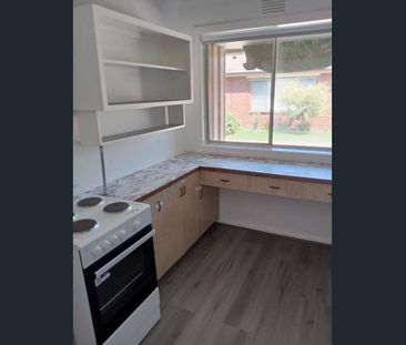 Bright 1-Bedroom Unit in the Heart of Mentone! - Photo 6