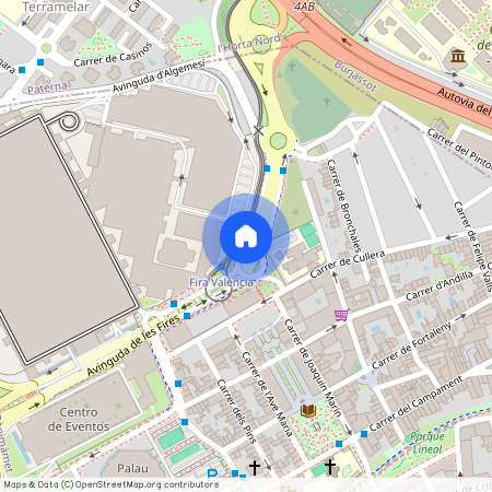 Avinguda de les Fires, Valencia, Valencian Community 46035