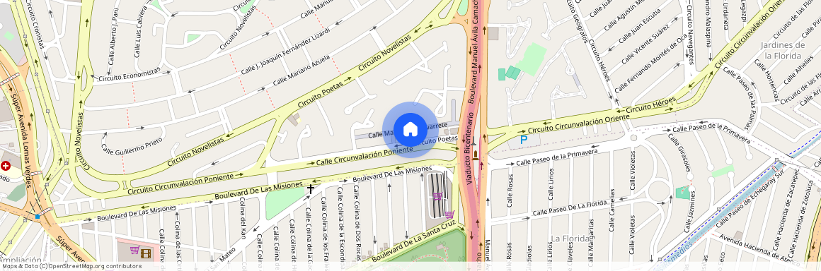 Calle Miguel De Guevara, Naucalpan de Juárez, Estado de México, 53100, México