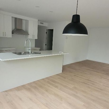 GRAND 4 ½ à louer près des ponts - Photo 1