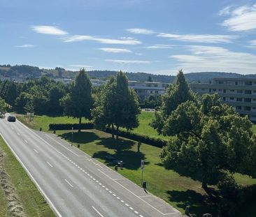 Zelgli Sky - Leben über den Dächern von Staufen! - Foto 6