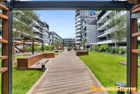 202/850 Bourke Street, Waterloo, NSW 2017 - Photo 5