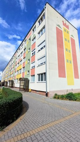 Kawalerka do zamieszkania, na parterze-0% prowizja - Photo 4