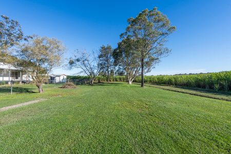 147 Kings Creek Road, Lawrence NSW 2460 - House For Rent | Domain - Photo 5