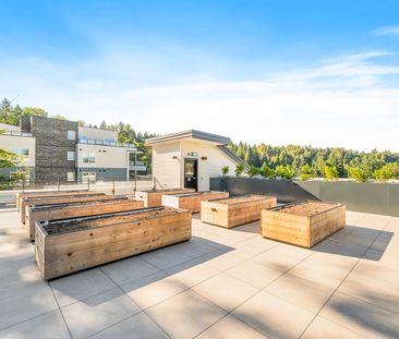 Modern 1 Bed Apartment With Parking & Storage – Built 2025 - Photo 4