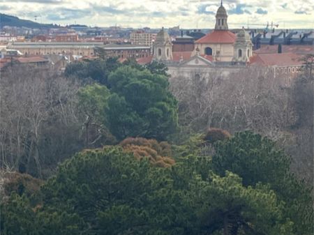 Ático de alquiler en Paseo de Zorrilla, 8, Campo Grande - Photo 3