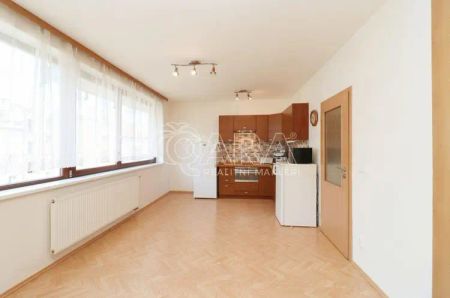 Pronájem bytu 1+kk/L, 42 m - Fotografie 5