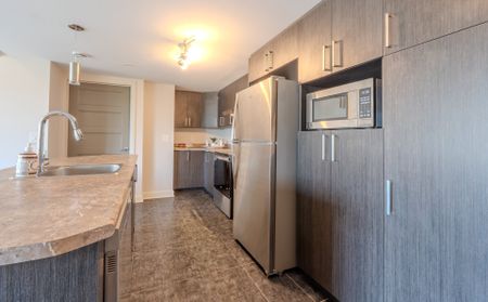 3410 Boul. St-Elzear O., #103 - Photo 4