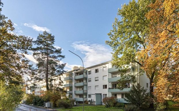 Cozy living in Birsfelden - Photo 1