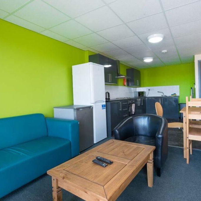 4 bedroom flat share to rent - Photo 1