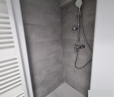 Location Appartement 3 pièces 53m² ST EGREVE 38120 - Photo 5