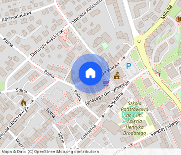 Trzebnica: przestronne mieszkanie dwupoziomowe - Photo 1