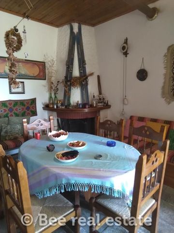 Μονοκατοικία για ενοικίαση Πορταριά - Φωτογραφία 5